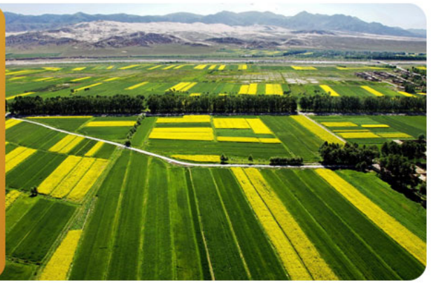 1724835122779923.png image.png